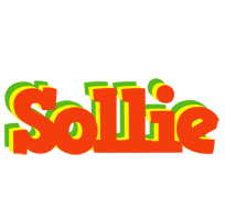 Sollie bbq logo