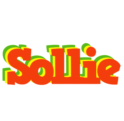 Sollie bbq logo
