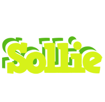 Sollie citrus logo