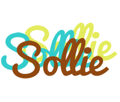 Sollie cupcake logo