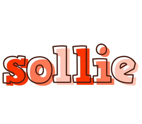 Sollie paint logo