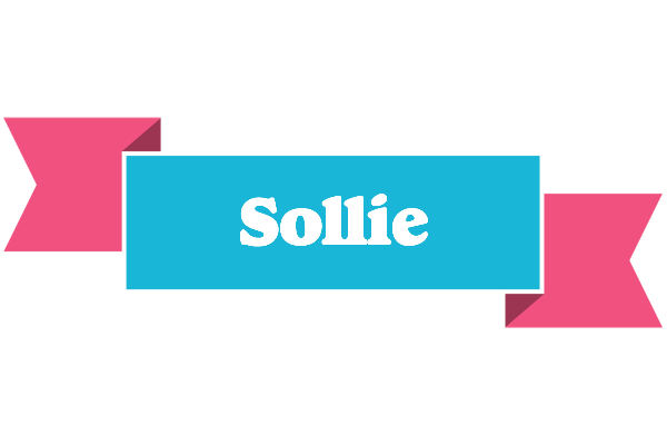 Sollie today logo
