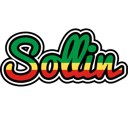 Sollin african logo