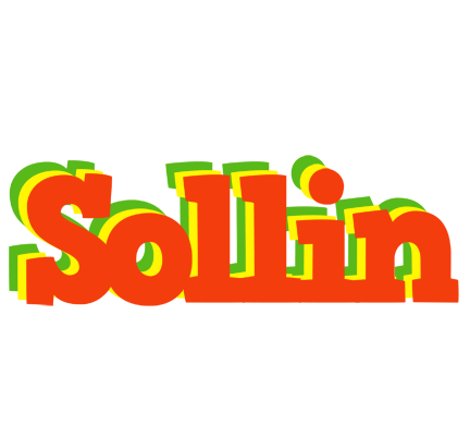 Sollin bbq logo