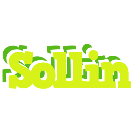 Sollin citrus logo
