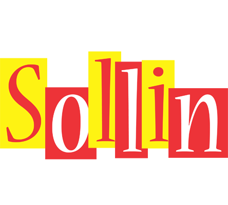 Sollin errors logo