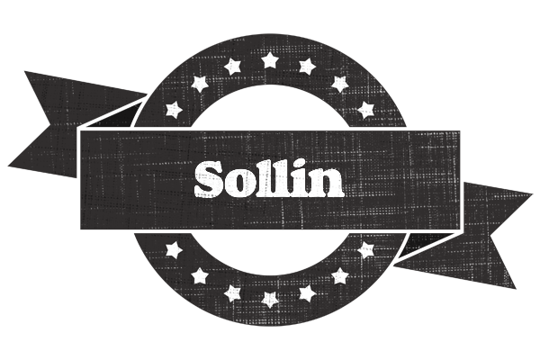 Sollin grunge logo