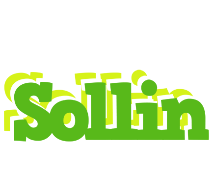 Sollin picnic logo