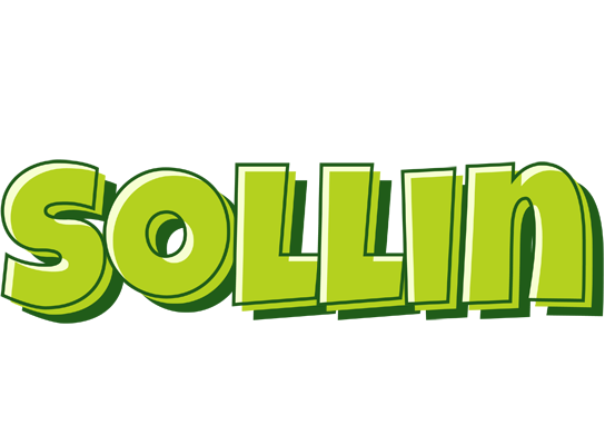 Sollin summer logo