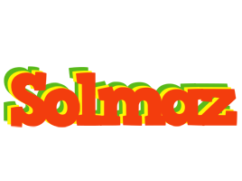 Solmaz bbq logo