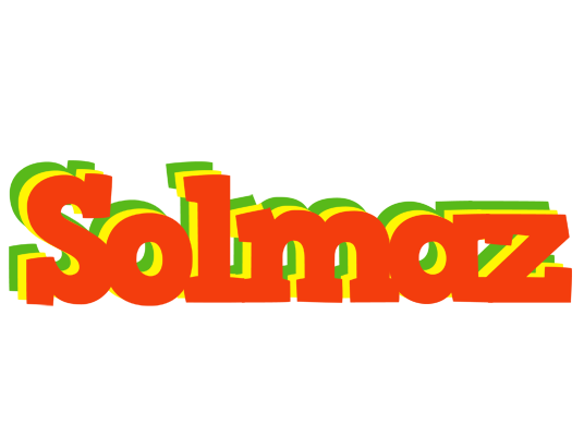 Solmaz bbq logo