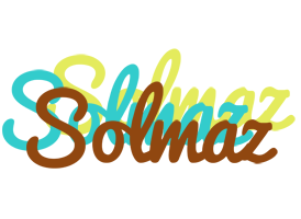 Solmaz cupcake logo