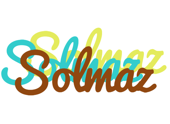 Solmaz cupcake logo