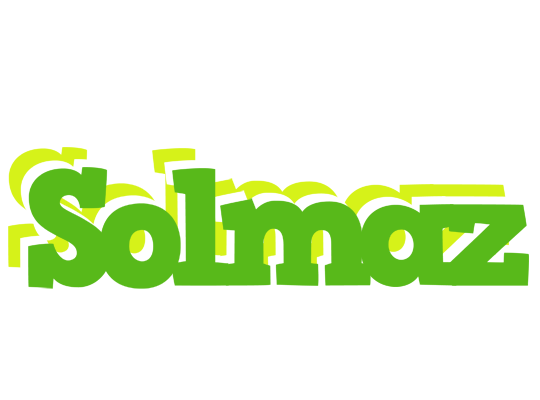 Solmaz picnic logo