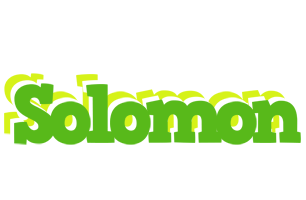 Solomon picnic logo