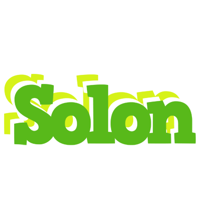 Solon picnic logo