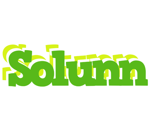 Solunn picnic logo