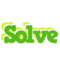 Solve picnic logo