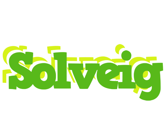 Solveig picnic logo