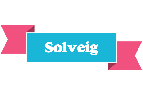 Solveig today logo
