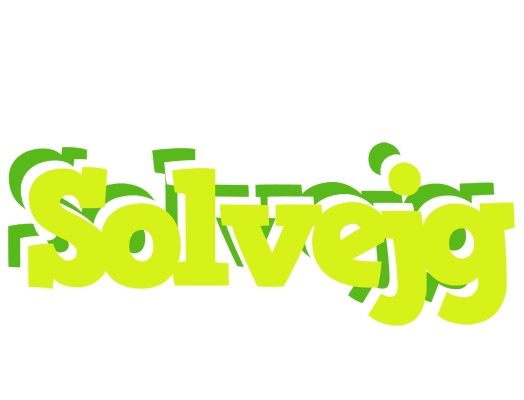 Solvejg citrus logo