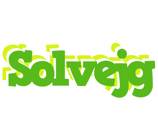 Solvejg picnic logo