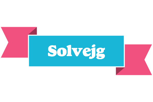 Solvejg today logo