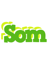 Som picnic logo