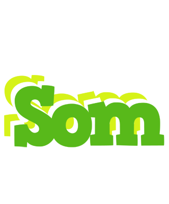 Som picnic logo