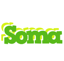 Soma picnic logo