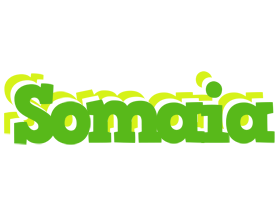Somaia picnic logo