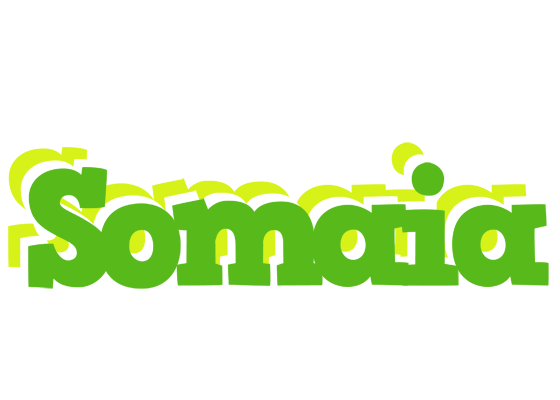 Somaia picnic logo