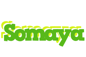 Somaya picnic logo