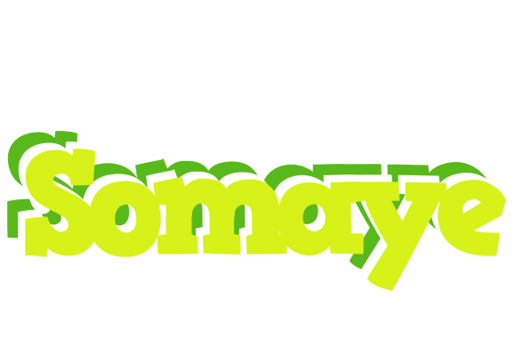 Somaye citrus logo