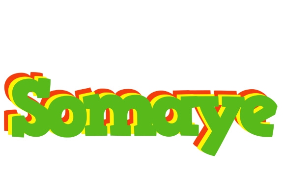 Somaye crocodile logo