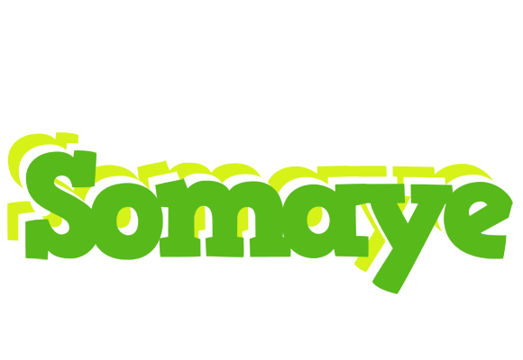 Somaye picnic logo