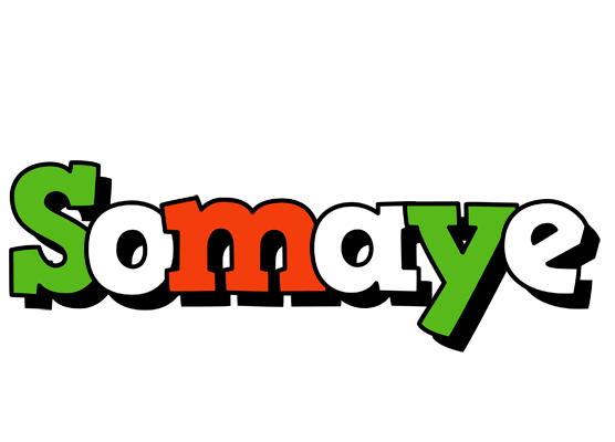 Somaye venezia logo