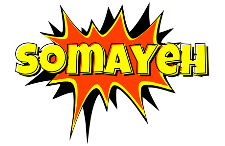 Somayeh bazinga logo