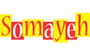 Somayeh errors logo