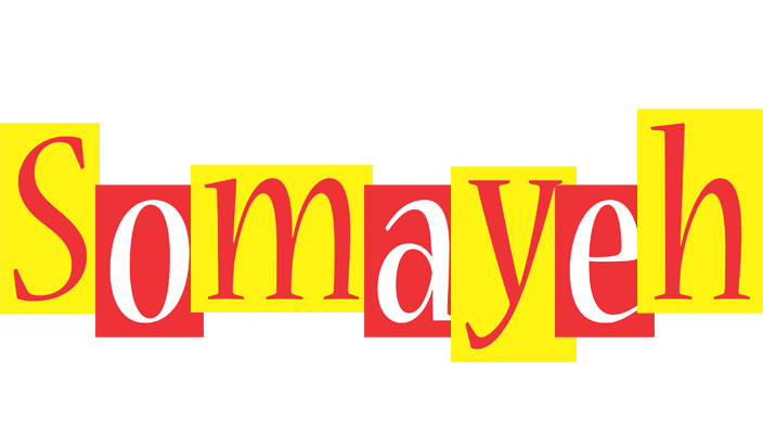Somayeh errors logo