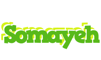 Somayeh picnic logo