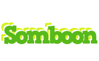 Somboon picnic logo