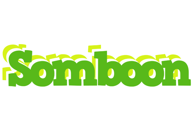 Somboon picnic logo