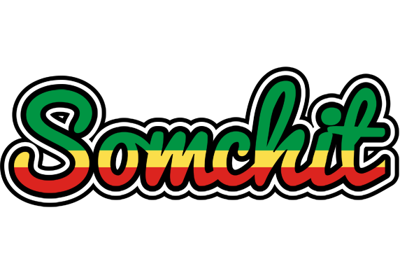 Somchit african logo
