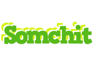 Somchit picnic logo