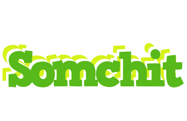 Somchit picnic logo