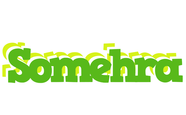 Somehra picnic logo