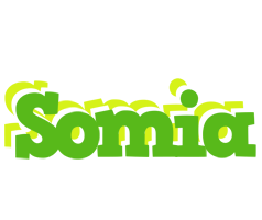 Somia picnic logo