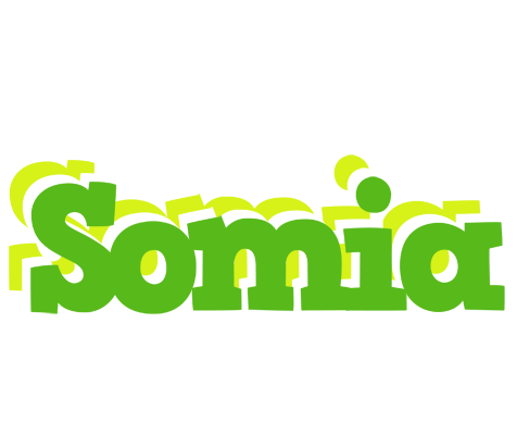 Somia picnic logo