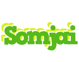 Somjai picnic logo